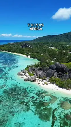this is africa 🏆