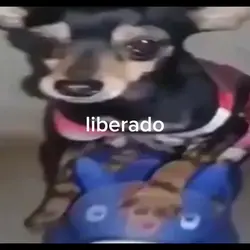 liberado 