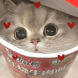Cute cat edit 