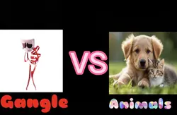 Gangle vs animals