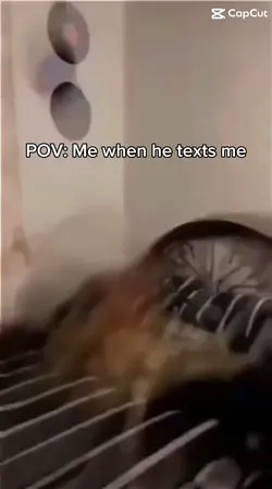 POV he texts me 