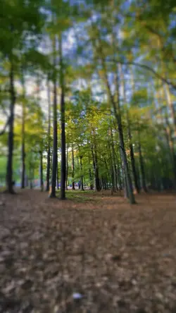 Hermosa naturaleza 