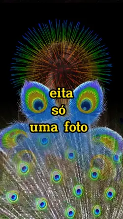 penas pavão 