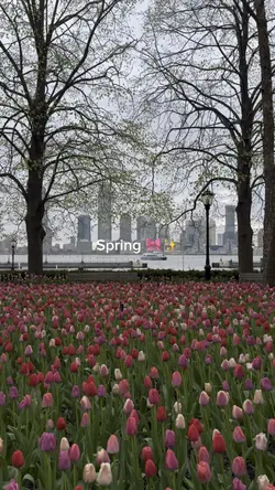 Spring Aesthetic 