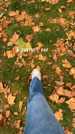 A perfect day ✨🍁