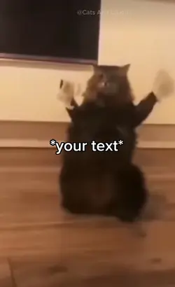 Cat meme 