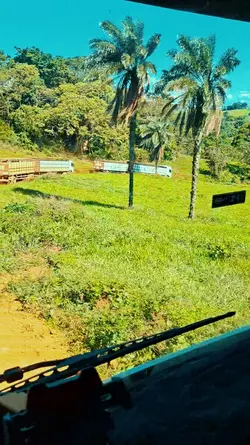 caminhão boiadeiro