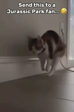 Jurassic Cat