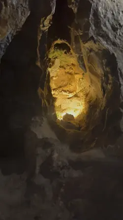 Snakes 🐍 in Cave