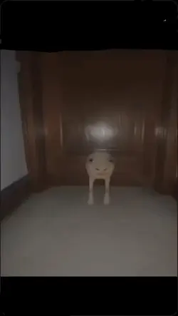 airdrop this to som1