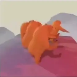 Bears 