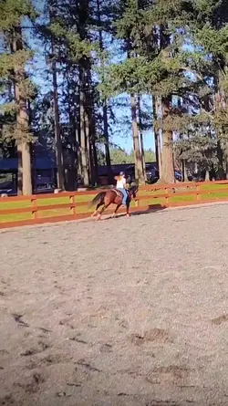 Slow Motion