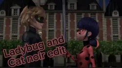 Ladybug & Cat noir