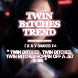 TWIN B1TCHES