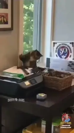 try not to laugh!