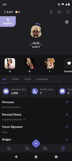 everskies acc