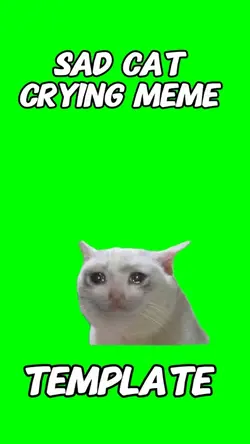 Sad cat crying meme 