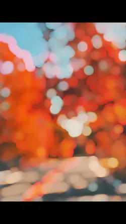Fall Template 🍂🍁