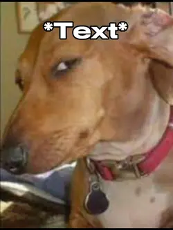 Side eye meme