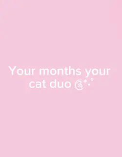 Cat duos 😼