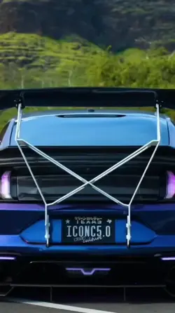 Mustang