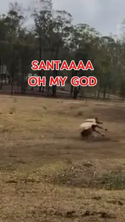 santa claus! ๐๐
