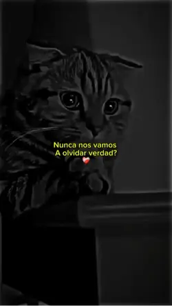 Frases sad