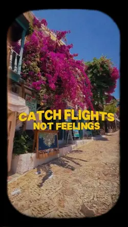 Catch flights ✈️ 