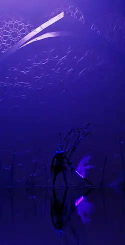 sombra