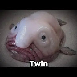 Twin 