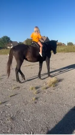 My sister ridin