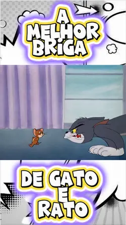 Gato E RATO