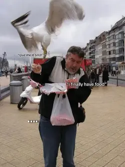 my bird