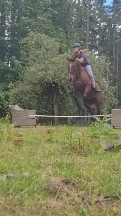 Eq was not it td 