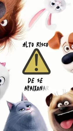 cachorro