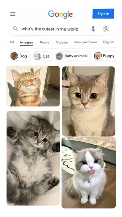 google search cutest