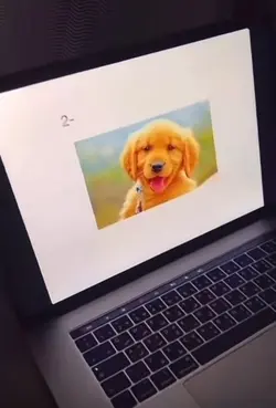 Sad dog