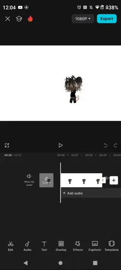 how to green screen