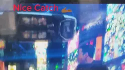 Amazing Catch