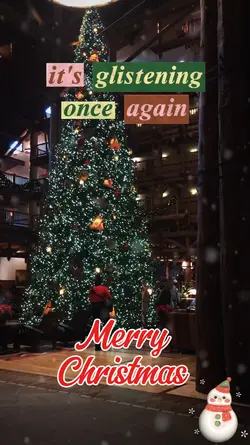 It's Christmas 