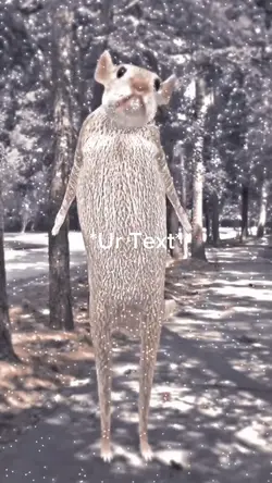 Ur Text