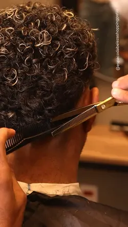 BARBEARIA
