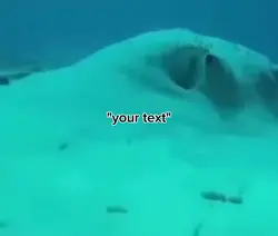 fish meme