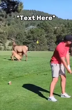 Golf meme 