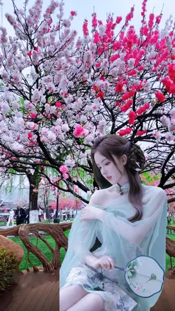 Spring peach blossom