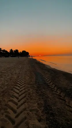 calmness.
