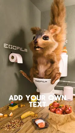 Funny Toilet meme