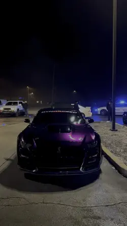 Midnight gt500