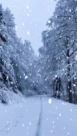 Snow scape