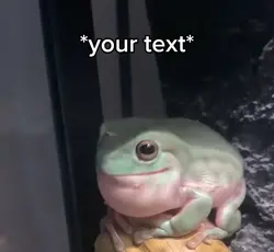 Ribbit 
